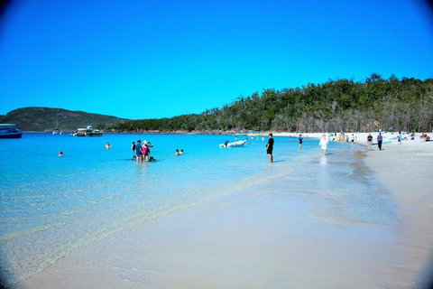 Whitehaven Beach Half-Day Cruises - Accommodation Yamba 9