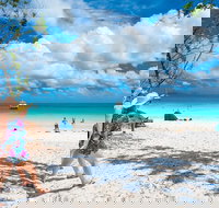 Whitehaven Beach Half-Day Cruises - Accommodation Yamba