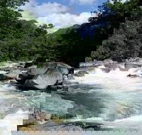 Daintree Rainforest Cape Tribulation Mossman Gorge in a day - Accommodation Yamba