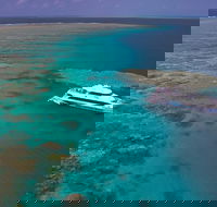 Silversonic Outer Great Barrier Reef Dive and Snorkel Cruise from Port Douglas - Accommodation Yamba