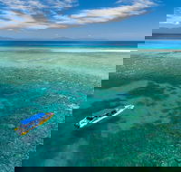 Ocean Safari Great Barrier Reef Experience in Cape Tribulation - Accommodation Yamba