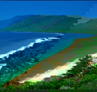 Cairns Reef and Rainforest Combo Daintree Rainforest and the Great Barrier Reef - Accommodation Yamba