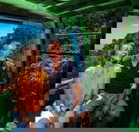Skyrail Rainforest Cableway Day Trip from Palm Cove - Accommodation Yamba