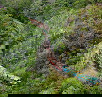 Kuranda Scenic Railway Day Trip from Port Douglas - Accommodation Yamba