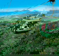 Small-Group Kuranda Village Skyrail Cableway and Scenic Railway Day Trip from Port Douglas - Accommodation Yamba