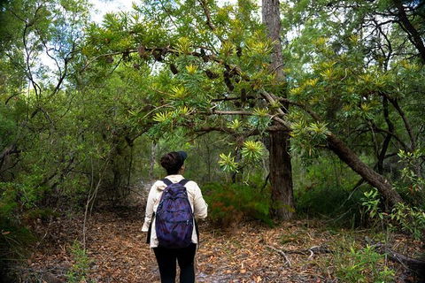 Pack-free Camping: Lake McKenzie Central Hike - 2 Days - Accommodation Yamba 1