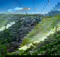 Skyrail Rainforest Cableway Day Trip from Port Douglas - Accommodation Yamba