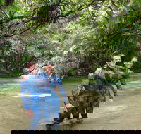 Mossman River Drift Snorkelling from Port Douglas or Mossman - Accommodation Yamba