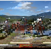Blazing Saddles Horse Riding - Accommodation Yamba