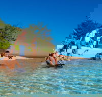 Half Day Low Isles Snorkelling Tour from Port Douglas - Accommodation Yamba
