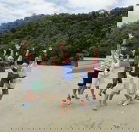 Private Daintree Wanderer Tour - Accommodation Yamba