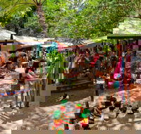 Kuranda Day Trip small group from Port Douglas by bus - Accommodation Yamba