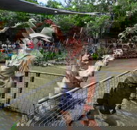 Hartley's Crocodile Adventures Day Trip from Cairns - Accommodation Yamba