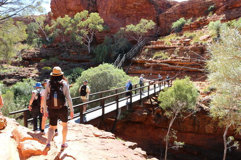 Kings Canyon Day Trip From Ayers Rock - Accommodation Yamba 19