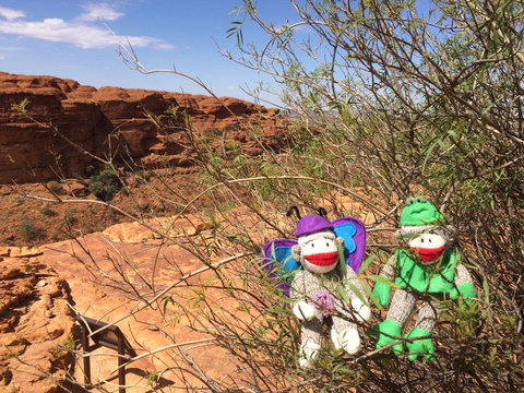 Kings Canyon Day Trip From Ayers Rock - Accommodation Yamba 23