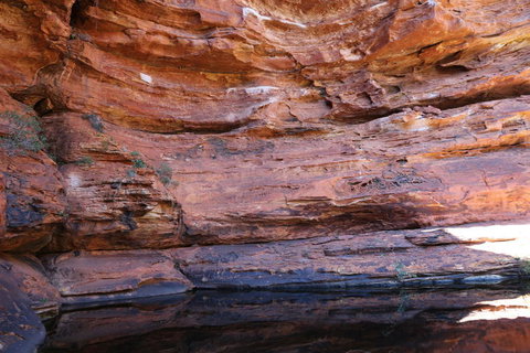 Kings Canyon Day Trip From Ayers Rock - Accommodation Yamba 16