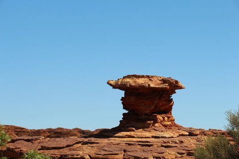 Kings Canyon Day Trip From Ayers Rock - Accommodation Yamba 17