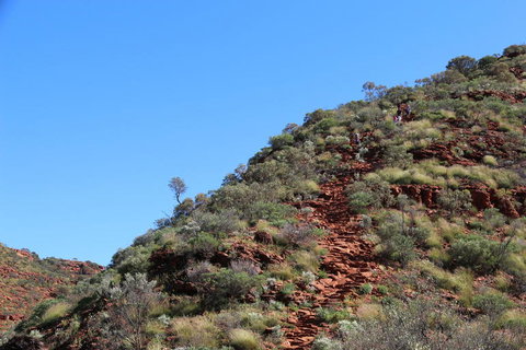 Kings Canyon Day Trip From Ayers Rock - Accommodation Yamba 21