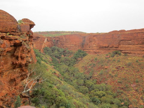 Kings Canyon Day Trip From Ayers Rock - Accommodation Yamba 13