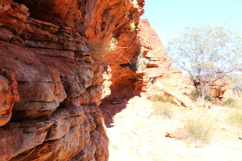 Kings Canyon Day Trip From Ayers Rock - Accommodation Yamba 20