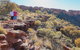 Kings Canyon Day Trip From Ayers Rock - thumb 26
