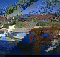 Palm Valley 4WD Tour - Accommodation Yamba