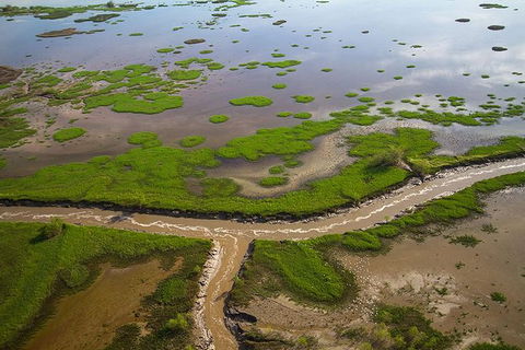 Kakadu National Park Scenic Flight - Accommodation Yamba 10