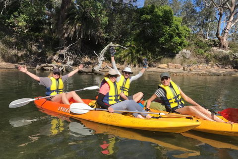 Paddle In Paradise - 4 Hours Double Kayak Hire - Accommodation Yamba 2