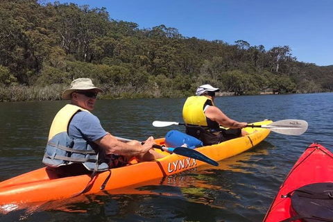 Paddle In Paradise - 4 Hours Double Kayak Hire - Accommodation Yamba 4