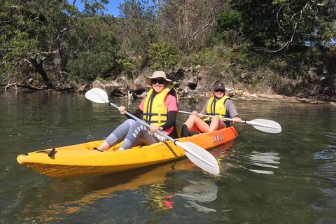 Paddle In Paradise - 4 Hours Double Kayak Hire - Accommodation Yamba 6