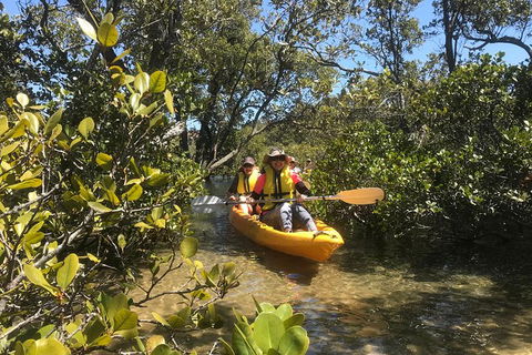 Paddle In Paradise - 4 Hours Double Kayak Hire - Accommodation Yamba 5