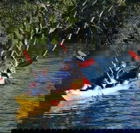 Kayak and SUP Guided Tours - Accommodation Yamba