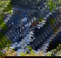 Byron Bay Hinterland Tour Including Rainforest Walk to Minyon Falls - Accommodation Yamba