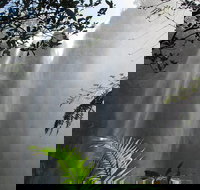 Minyon Falls Rainforest Walk - Accommodation Yamba