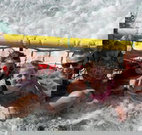 Jervis Bay Boom Netting and Dolphins Tour - Accommodation Yamba