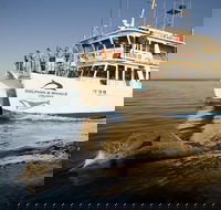 Jervis Bay Dolphin Watch Cruise - Accommodation Yamba