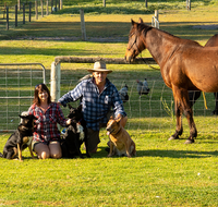 Meet The Animals - Accommodation Yamba