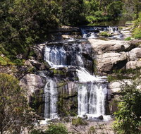 Agnes Falls Scenic Reserve - Accommodation Yamba
