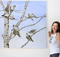 Bingara Gallery - Accommodation Yamba