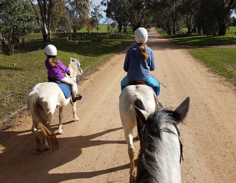 Bits And Boots Pony Rides - Accommodation Yamba 0