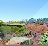 Bladensburg National Park - Accommodation Yamba