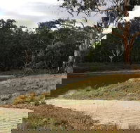 Buckingbong Reserve - Accommodation Yamba
