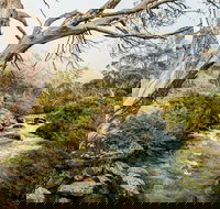 Dead Horse Gap walking track - Accommodation Yamba