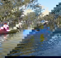 Doodle Cooma Swamp - Accommodation Yamba