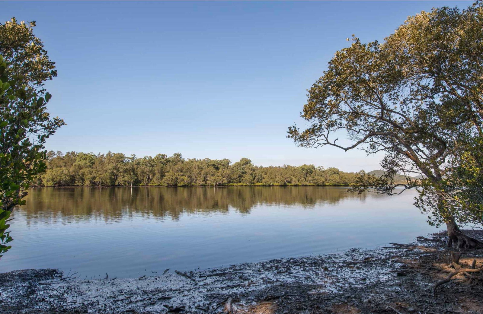 Limeburners Creek NSW Accommodation Yamba