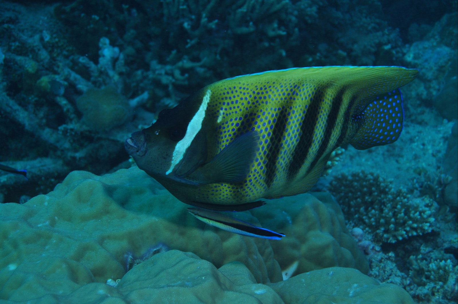 East Russell QLD Accommodation Yamba