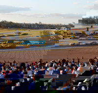 Ipswich Motorsport Precinct - Accommodation Yamba