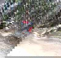 Jolly Nose Mountain Bike Park - Accommodation Yamba
