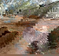 Kingsford Smith Mail Run - Accommodation Yamba