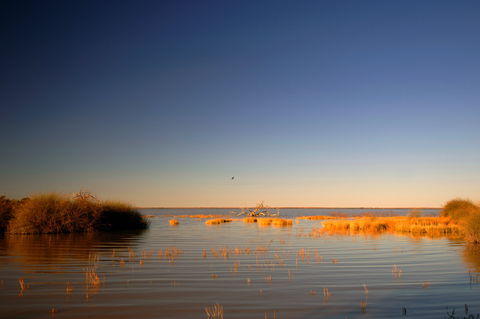 Malkumba-Coongie Lakes National Park - Accommodation Yamba 0